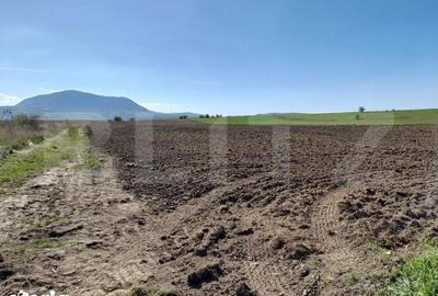 Teren de 15000 mp, în Central - 3