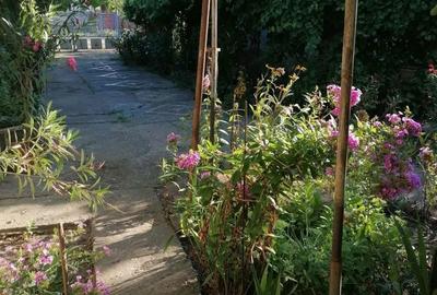 Casă cu 4 camere în Boureni - 3