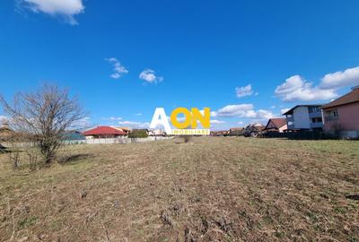 Teren Construcții intravilan de 2600 mp, în Cetate - 2