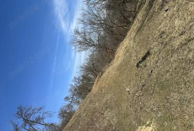 Vand casa taraneasca cu 8000 mp gradina - 7