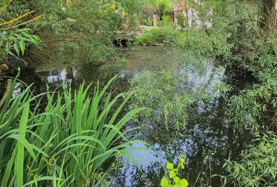 Casa superba in Corunca (potrivita si pentru pensiune) Casa superba in Corunca (potrivita si pentru pensiune) - 19