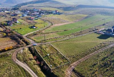 Teren Construcții intravilan de 900 mp, în Ernei - 2