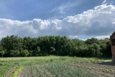 Casă cu 3 camere cu Teren 2275 Mp în Uliuc - 7