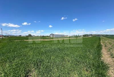 Teren Construcții intravilan de 2700 mp, în Central - 5