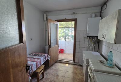 TOMIS 3 | DECOMANDAT | EXCLUSIVITATE - 8