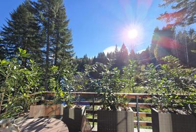 Casă cu 2 camere cu Teren 150 Mp în Furnica - 13