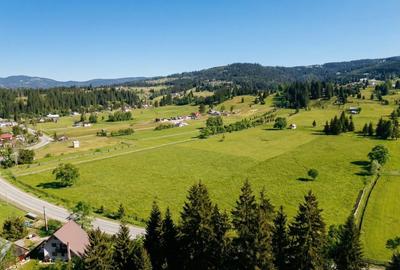 Teren agricol intravilan de 22000 mp, în Plaiu Șarului - 16