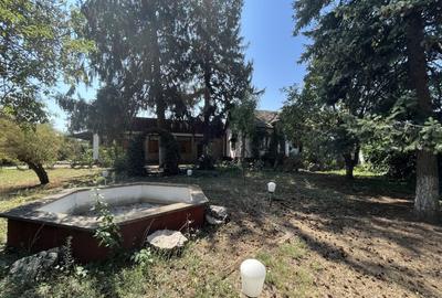 Casă individuală cu 4 camere cu Teren 4379 Mp în Giubega - 15