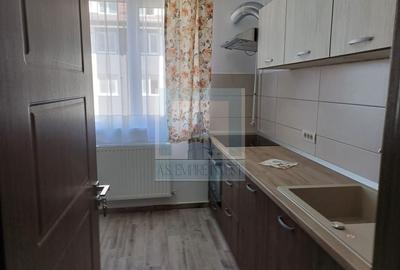 Ap 2 camere decomandat, mobilat/utilat - zona Sanpetru - 6