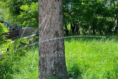 Teren intravilan cu casa- 1740 mp. in Provita de Sus-PH - 23