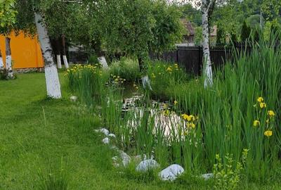 Casă cu 9 camere în Sovata - 4