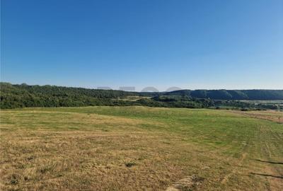 RECO teren extravilan Betfia - 3