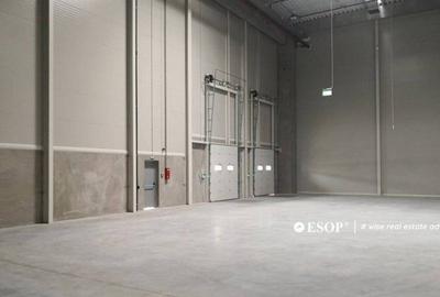 WDP Industrial Park Stefanesti, spatii industriale, 5.000... - 11