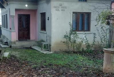 Casă în Vulpeni - 2