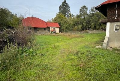 Teren Construcții intravilan de 2644 mp, în Viișoara - 4