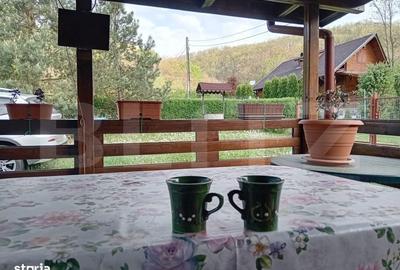 Casă cu 3 camere în Criș - 11