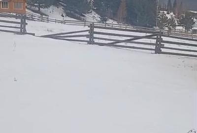 Teren extravilan de 8179 mp, în Cârlibaba Nouă - 7