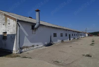 Inchiriere birou cu depozit in zona industriala Macea Jud Arad. In total, 165 mp. - 6
