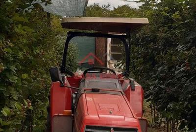 Teren extravilan in Baicoi 10.000mp plantatie mure --80.000e - 4