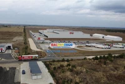 Teren Mihailesti Penny - 5