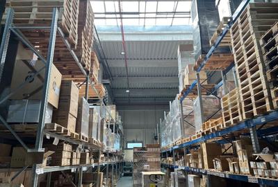 Spațiu industrial, de 780 mp, în Mogoșoaia - 10