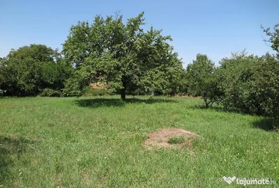 Teren de 17777 mp, în Central - 3