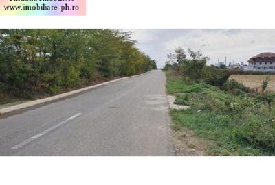 Spațiu comercial, în Bucov - 3