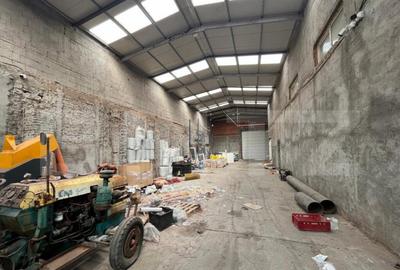 Hala 900 mp utili cu 1869 mp de teren - 13