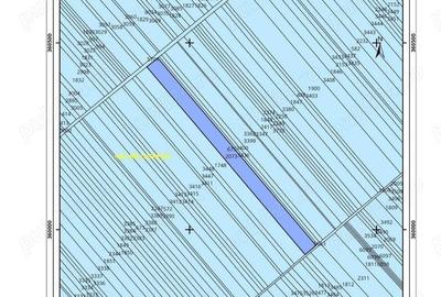 Oportunitate investitie, teren Bilciuresti DB, la 200m de soseaua Bucuresti Targoviste - 2