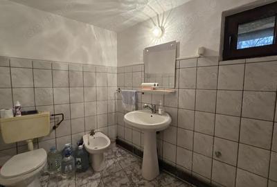 Proprietate interbelica cu arhitectura deosebita zona ultracentrala - 16