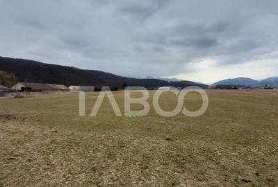 Teren de 11400 mp, în Tălmaciu - 11