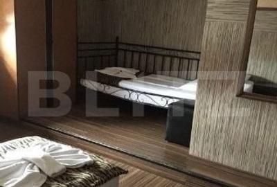 Spațiu comercial, de 450 mp, în Lugojului - 5
