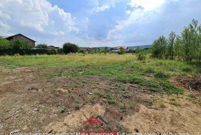 Teren intravilan in Banesti--925 m--40e - 10