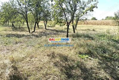 Vanzare teren intravilan Baicoi Central Vanzare teren intravilan Baicoi Central - 5