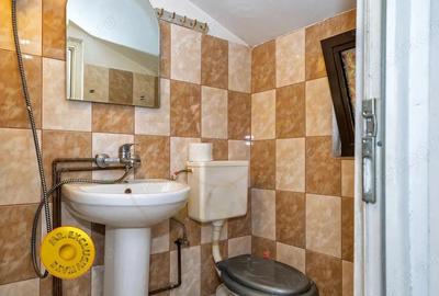 Doua case in aceeasi curte Pitesti, Strada Turcesti - 14