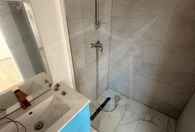 Casa individuala, 120 mp, 250 teren, Dezmir - 8