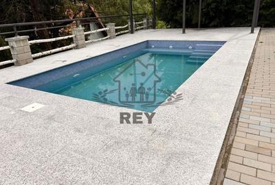 Casă de vacanța / Vilă în Păltiniș cu piscina acoperită și încălzită Casă de vacanța / Vilă în Păltiniș cu piscina acoperită și încălzită - 18