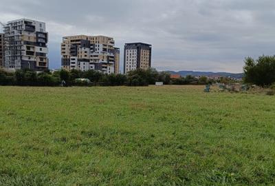 Teren intravilan 8000 mp , DR.D.Vechi - 11