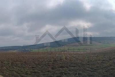 Teren în Dorobanț - 4