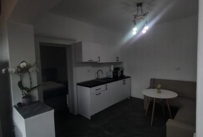 Casă individuală cu 3 camere cu Teren 300 Mp în Păcurari - 4