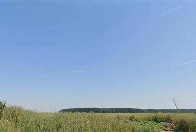 Teren de vanzare cu Puz aprobat - 210 000 mp - Mogosoaia - 5