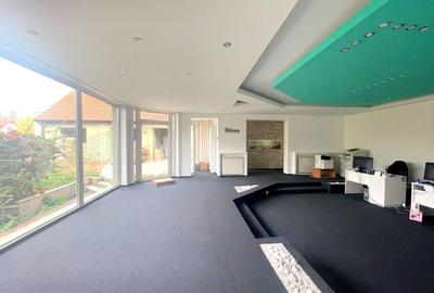 Casa individuala, plan parter in Mehala - 3