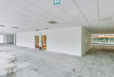 Spatiu birouri clasa A zona de nord, Herastrau. - 6