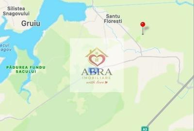 Teren agricol extravilan de 21500 mp, în Gruiu - 6