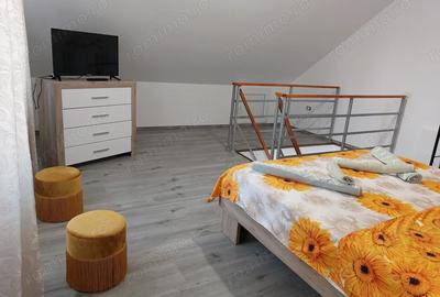 Apartament de inchiriat zona Techirghiol - Iesire spre Eforie Nord - 10