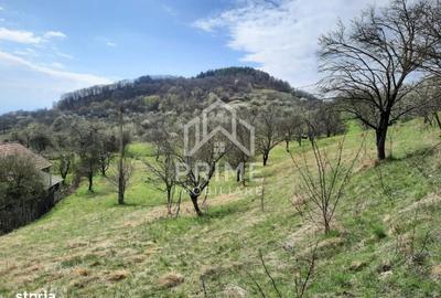 Teren de 13700 mp, în Vințu de Jos - 3