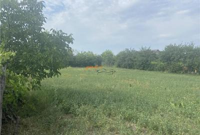 Casa si teren de in Suraia, zona Cimitirul central ,2087 mp - 2