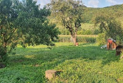 Casă cu Teren 2000 Mp în Călimănești - 6