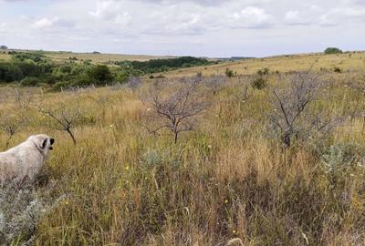 Spațiu comercial, în Lugoj - 16