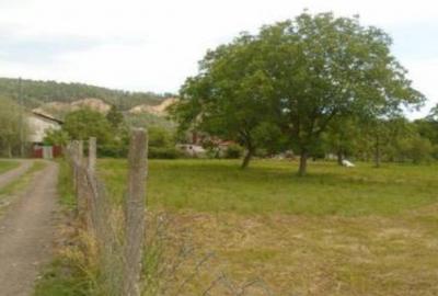 Teren intravilan loc. Brosteni, judetul Vrancea - 7